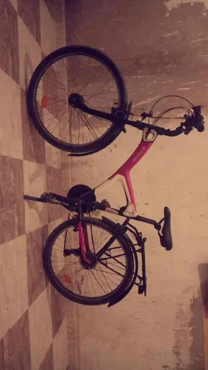 Velo betwin 520