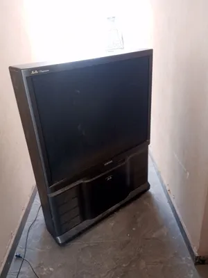 شاشة التلفزيون