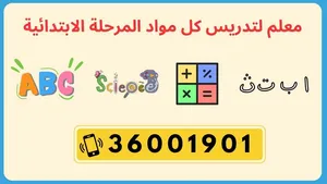 Teacher for all subjects for primary school