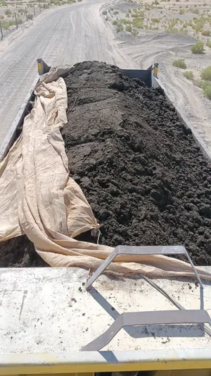 سمادالبقر من شركة مازون
