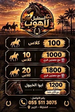 إيواء خيول وتدريب ب افضل الاسعار