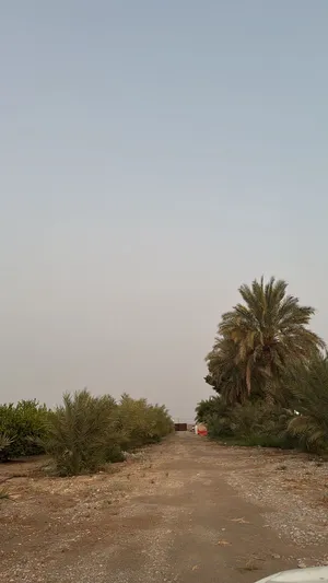 مزرعة للبيع في المصنعة