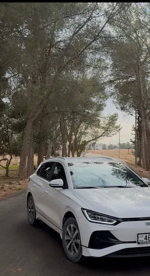 BYD E2 luxury 2023 long range