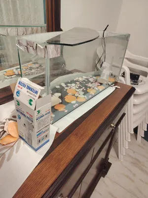 حوض سمك سعر حرررق مع فلتر شغال مع الشياء جوا الحوض او بدل على عصفور دره او عصفير جوز فيشر بسعر منيح