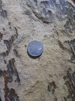 عملة 2 ليرة سوريا قديمة