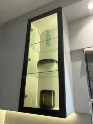 Glass Cabinet Door باب خزانة جزاز