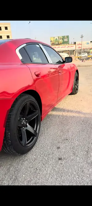 ويل كب نجمه خسفه قويه للمراوس فقط حسب الرغبة حجم 20