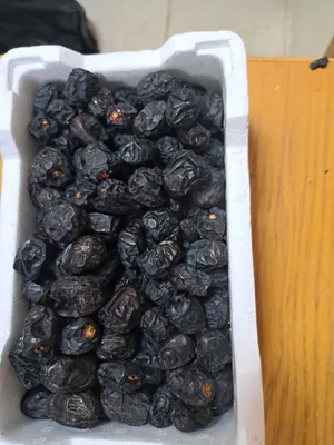 Fresh Ajwa Dates Straight From The Farm Located In Madinah