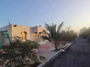 مزرعه للايجار أو الاستثمار
