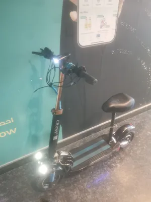 Electric scooter E10