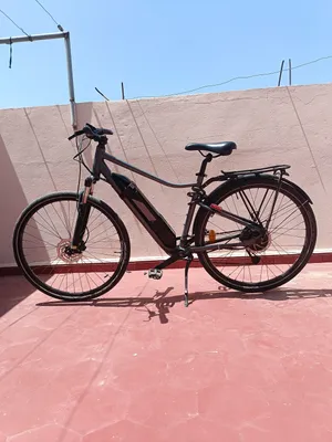 decathlon Riverside 500e