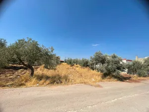 ارض للبيع بسعر مناسب جدا جدا