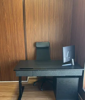Modern Executive Office Desk with Storage