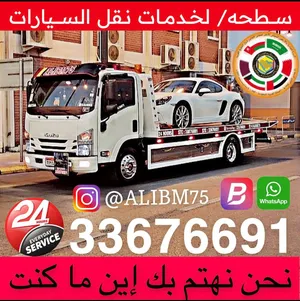 ALIBM75 CAR TRANSPORT