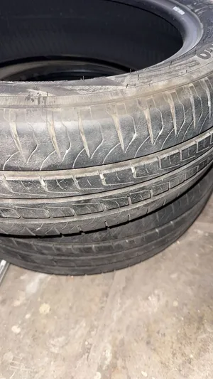 نص عمر byd segoul فردتين