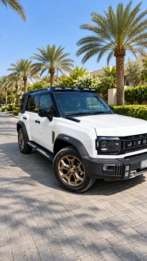 2025 Jetour T2 – Chinese Variant – Top of the Line. Lady Driven