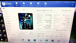 Apple iPad 256 GB in Muscat