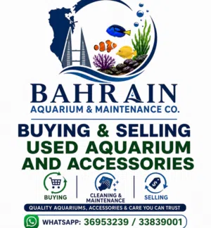 Aquarium maintenance and cleaning services