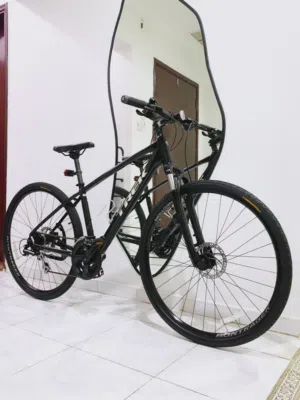 Trek Dual Sport 2 Hybrid Disc Bike