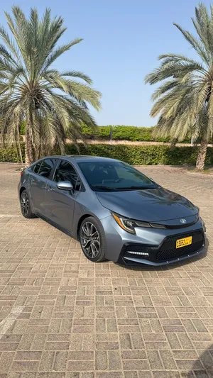Toyota Corolla 2020 good price negotiable