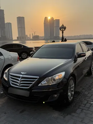 Genesis BH380 2010