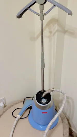 Steam iron