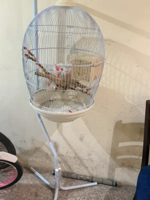 Stand cage for sale