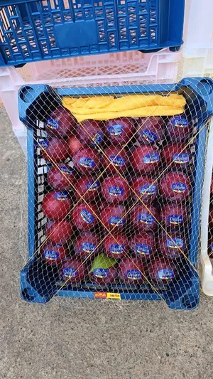 خضر وفواكه منتوج جزائري