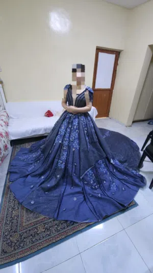 Beautiful Cinderella gawn can be used as engagement, wedding or special occasion