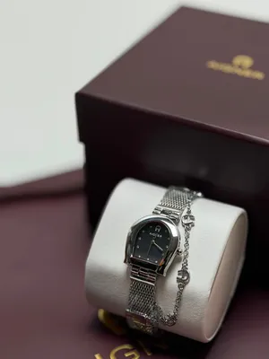 Silver Aigner for sale in Muscat