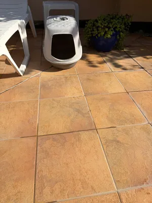 Cat and kitten litter box with cover
