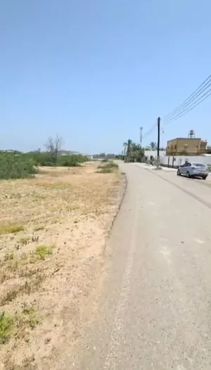 ارض زراعية فظاء صحم الردة على شارع قار مساحة 4585