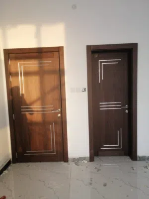 Double Fiver new door,, design look we r manufacturing here