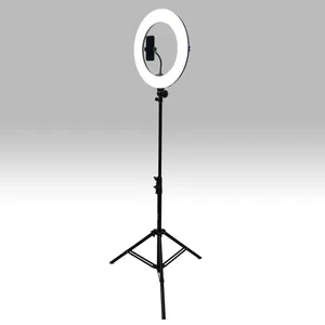 Ring light