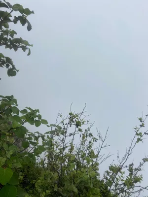 ابحث عن نصف فطعه ارض سكنيه ف محافظه  ولايه طاقه