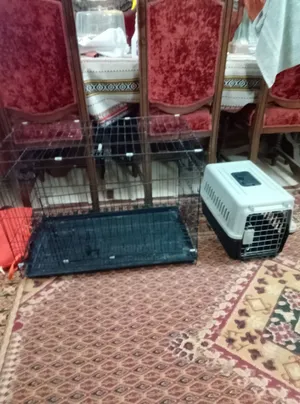 قفص كبير وناقلة حيوانات