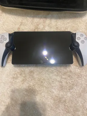 PlayStation portal