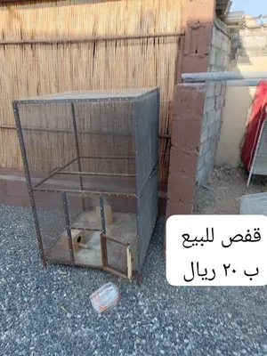 اقفاص للطيور