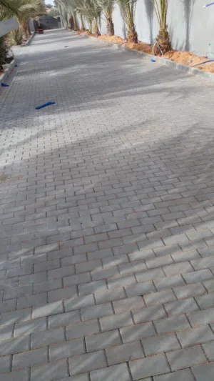 المجموعة اسطي العاشق والمعشوق والبندورات في طرابلس وضواحي وحدائق وحدائق
