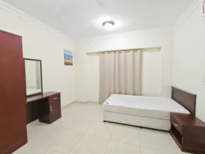 Male Executive Bachelor Room Available Najma Doha