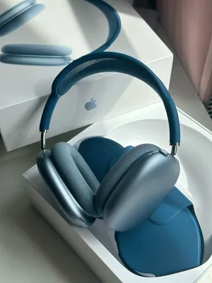 These are Apple's premium over-ear headphones built with aluminum ear cups and a stainless