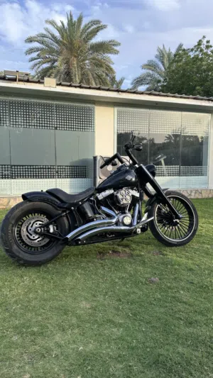Harley davidson softail slim custom للبيع هارلي ديفيدسون سوفتيل سليم كوستم