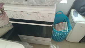 Wansa Electric cooker