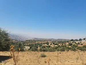 ارض للبيع في بد الجديده ذات اطلاله عاليه ومرتفعه 500م بسعر مميز
