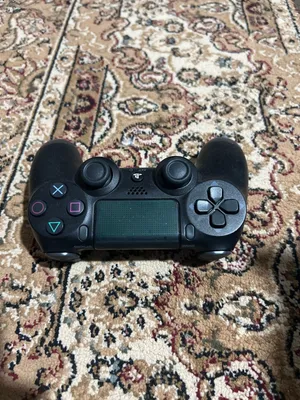 ما فيهنا شي