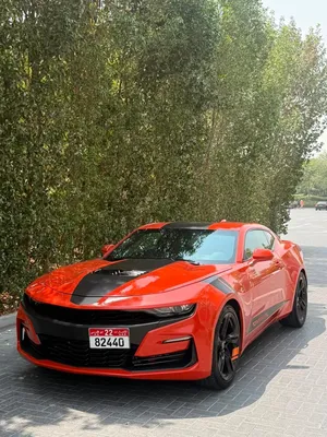 Chevrolet camaro v8
