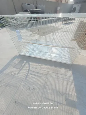 Large cage with everything good with cocktail pairs , love bird pairs , green ring  neck pairs