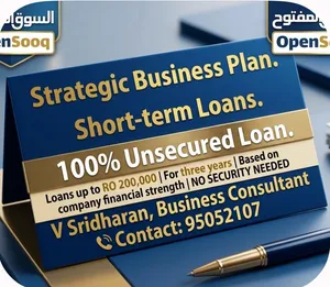 Corporate consultants for loans and strategic business plans