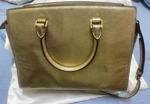 Micheal Kors Bag