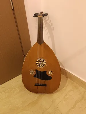 للبيع عود تركي